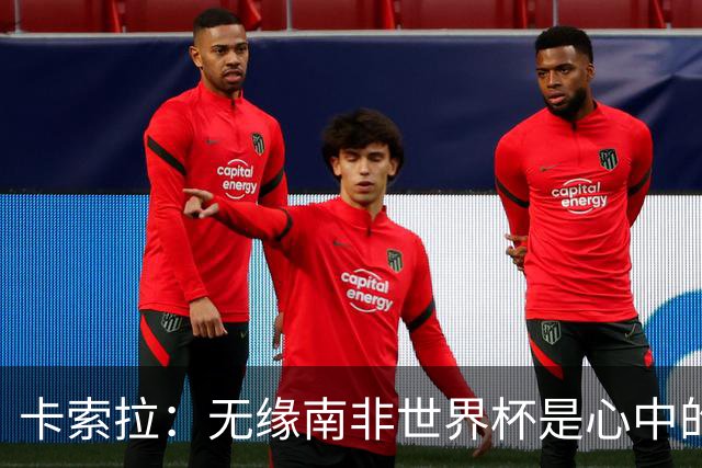 卡索拉：无缘南非世界杯是心中的刺